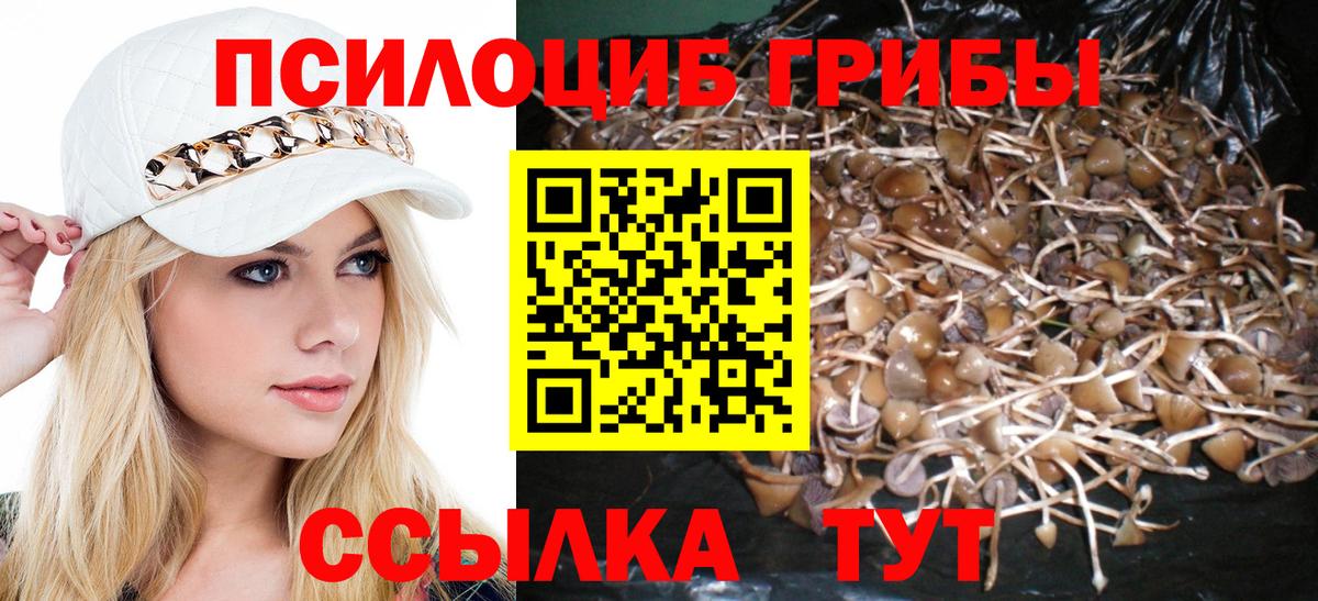 Псилоцибиновые грибы Cubensis Каменск-Шахтинский