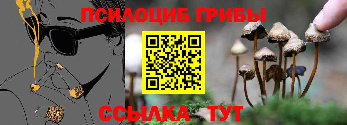 Каменск-Шахтинский  Галлюциногенные грибы прущие грибы  Вход с VPN 